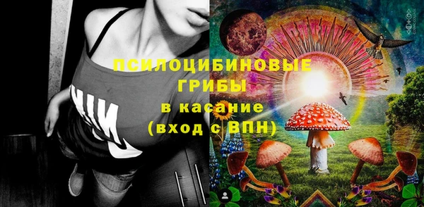 дживик Бородино