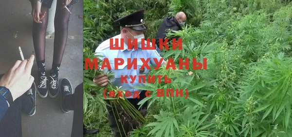 дживик Бородино