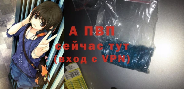 дживик Бородино