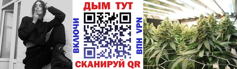 как найти наркотики  Губкинский  МАРИХУАНА конопля 